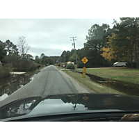 Chesapeake King Tide image